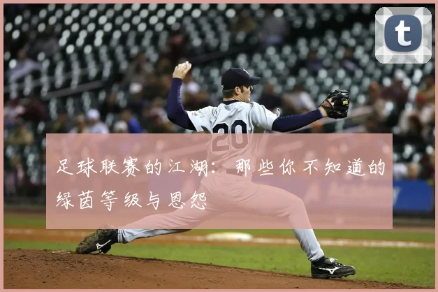 足球联赛的江湖:那些你不知道的绿茵等级与恩怨
