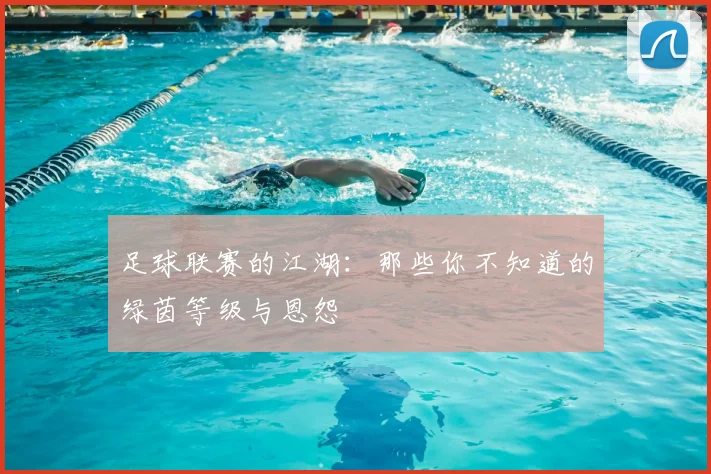 足球联赛的江湖：那些你不知道的绿茵等级与恩怨